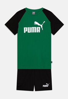 Шорты SET Puma, цвет archive green