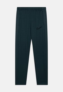 Спортивные брюки Academy 23 Pant Branded Unisex Nike, цвет deep jungle/black