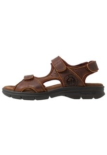 Походные сандалии SALTON BASICS C4 Panama Jack, темно коричневый