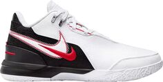 Баскетбольные кроссовки Nike LeBron NXXT Gen AMPD, мультиколор