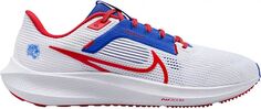 Кроссовки Nike Pegasus 40 TSU