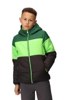Утепленная утепленная куртка Thermoguard &apos;Lofthouse VII&apos; Regatta, зеленый