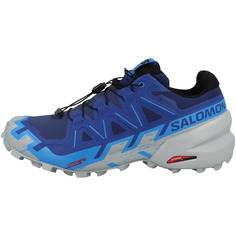 Беговый кроссовки SALOMON Speedcross 6 GTX, синий