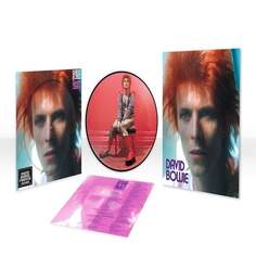Виниловая пластинка Bowie David - Space Oddity (Picture Vinyl) PLG UK Catalog