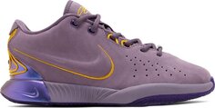 Кроссовки LeBron 21 GS &apos;Freshwater&apos;, фиолетовый Nike