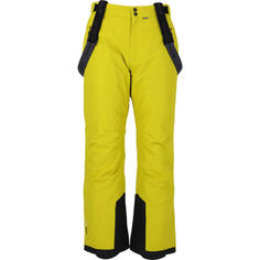 Лыжные брюки WHISTLER Fairfax, цвет gelb