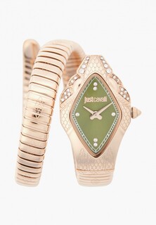 Часы Just Cavalli JC1L306M0055