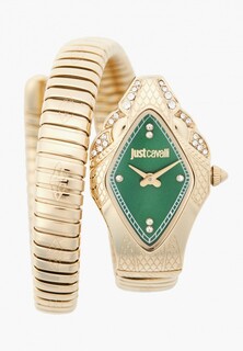 Часы Just Cavalli JC1L306M0045