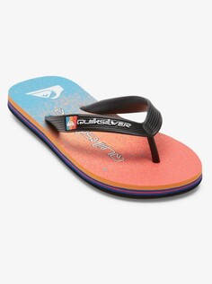 Детские сланцы Molokai Art Quiksilver