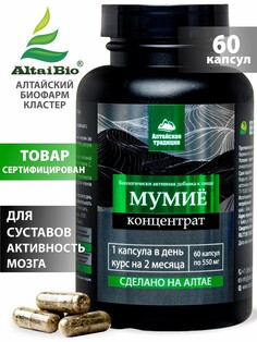 Концентрат мумие премиум с лецитином+витамин с для желудка, суставов, хрящей, иммунитета, 60 капсул Простые решения