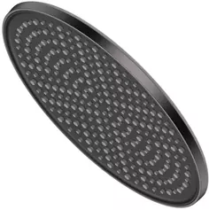 Верхний душ Raglo R451.50.09 250 мм, графит матовый
