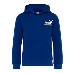 Подростковая худи ESS+ MID 90s Hoodie Puma