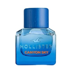 Туалетная вода HOLLISTER Canyon Sky For Him 30