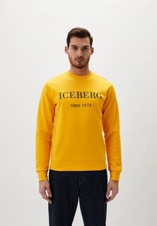 Свитшот Iceberg 