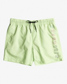 Купальные мужские шорты All Day Heritage Layback 16" Billabong