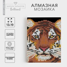 Алмазная мозаика с частичным заполнением на подставке Школа талантов