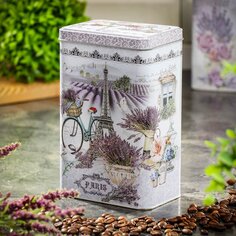 Банка для сыпучих продуктов, металл, 7х12х19 см, с крышкой, Французская, Y3-1196/322036