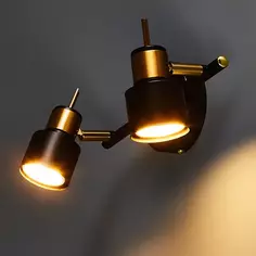 Спот поворотный Arte Lamp Almach 2 лампы 6 м² цвет черный