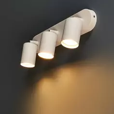 Спот поворотный Arte Lamp Aquarius 3 лампы 6 м² цвет белый