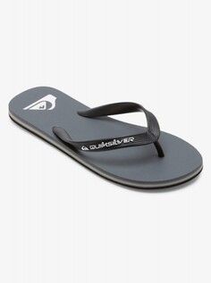 Мужские сланцы Molokai Core Quiksilver