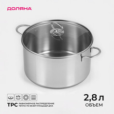 Кастрюля из нержавеющей стали Доляна
