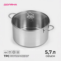 Кастрюля из нержавеющей стали Доляна