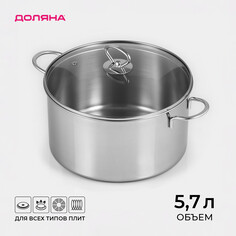 Кастрюля из нержавеющей стали Доляна