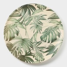 Тарелка NO Brand