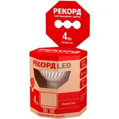 Светодиодная лампа РЕКОРД