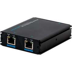 Удлинитель ethernet RVI
