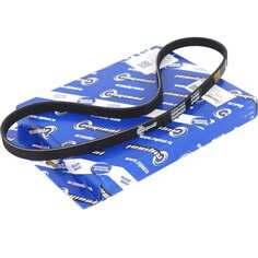 Ремень поликлиновой для а/м Audi A4 B5 (8D2) 1.9 TDI Riginal