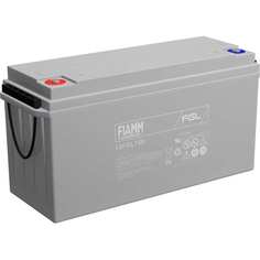 Аккумуляторная батарея FIAMM