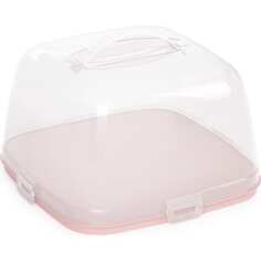 Тортница ЗПИ «Альтернатива»