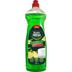 Средство для мытья посуды Master Fresh
