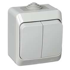 Двухклавишный выключатель Systeme Electric