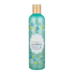 Шампунь для увлажнения и питания кожи головы и волос Clay Scalp Shampoo, 300 мл Laggie