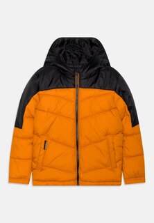 Зимняя куртка TOTOS Vingino, цвет maple brown