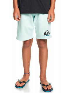 Детские Спортивные Шорты Quiksilver Easy Day 8-16