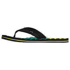 Сланцы Dunes Fade Billabong