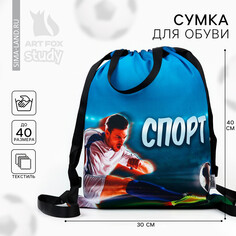Мешок для обуви Art Fox Study