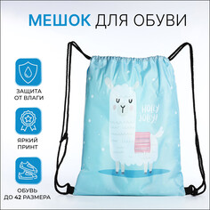 Мешок для обуви на шнурке, цвет голубой NO Brand