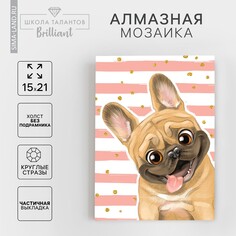 Алмазная мозаика с частичным заполнением на холсте Школа талантов