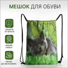 Мешок для обуви на шнурке, цвет зеленый NO Brand