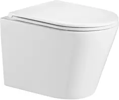 Унитаз подвесной WeltWasser Salzbach 004GL-WT безободковый, с сиденьем микролифт, белый