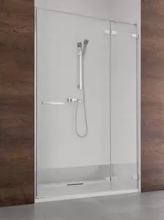 Душевая дверь Radaway Euphoria DWJ 110 R прозрачное