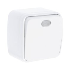 Выключатель открытой установки, одноклавишный, без заземления, 10 А, подсветка, IP20, белый, TDM Electric, Дача, SQ1824-0005