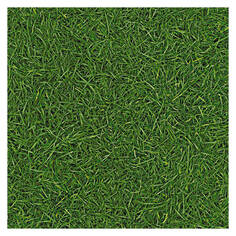 Линолеум линолеум NEO GRASS 25 3м 2,5мм/0,2мм Ivc
