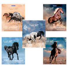 Тетради тетрадь 48л HATBER CarbonStylee А5 клетка в асс-те