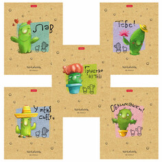 Тетради тетрадь 48л HATBER Мой друг Кактус А5 клетка в асс-те