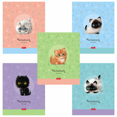 Тетради тетрадь 48л HATBER Кошарики А5 клетка в асс-те